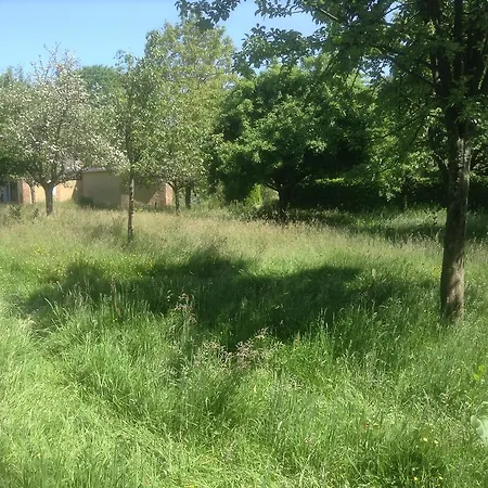 Charmante Petite Maison dans le Jardin Letteguives Extérieur photo
