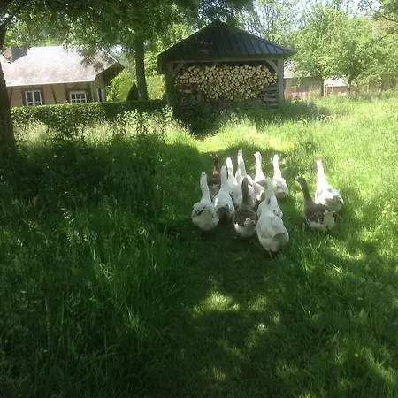 Charmante Petite Maison dans le Jardin Letteguives Extérieur photo