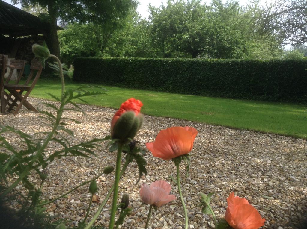 Charmante Petite Maison Dans Le Jardin Holiday home Letteguives
