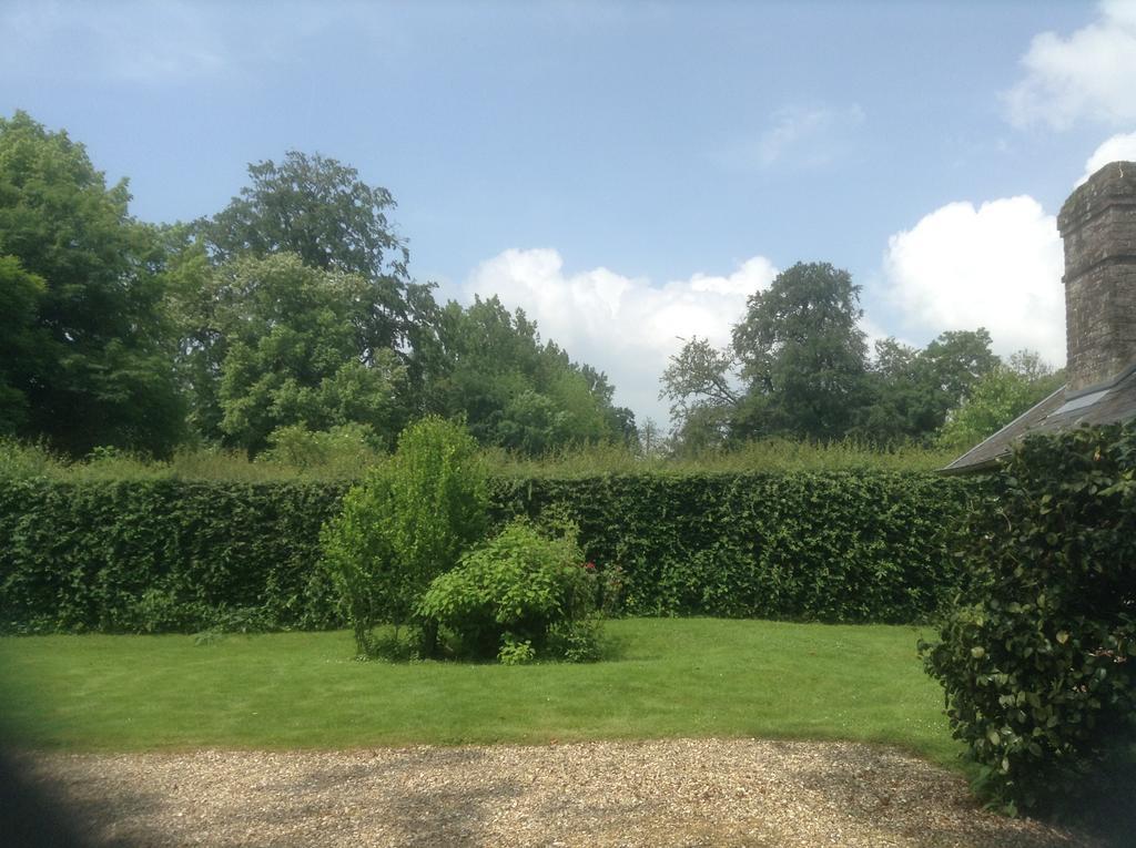 Charmante Petite Maison Dans Le Jardin Letteguives
